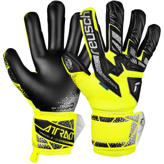 Rękawice Reusch Attrakt Freegel Silver